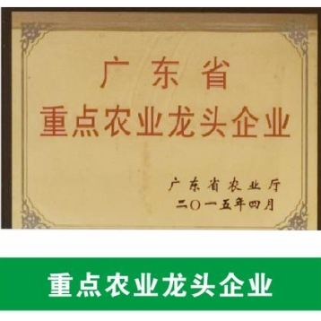 廣東省重點農業龍頭企業